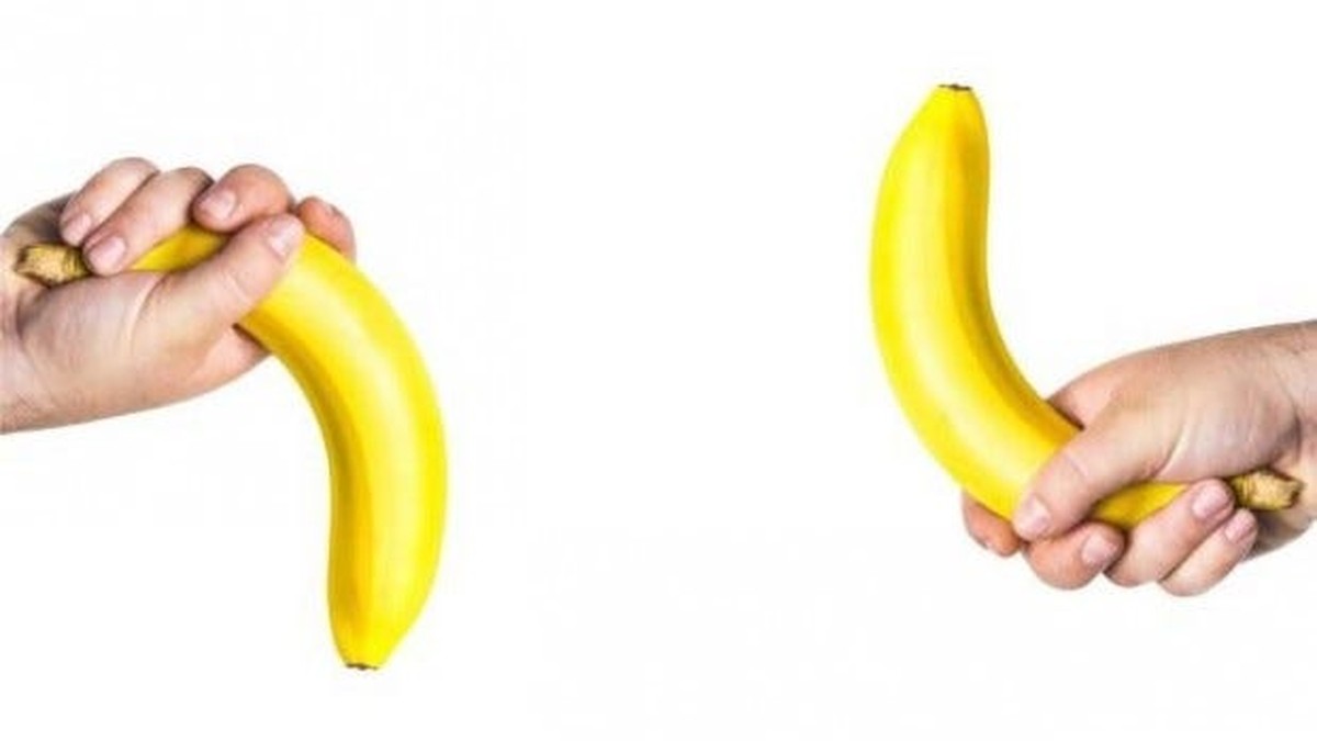 A firm banana and a drooping banana held in hands, a playful metaphor for sexual stamina and firmness